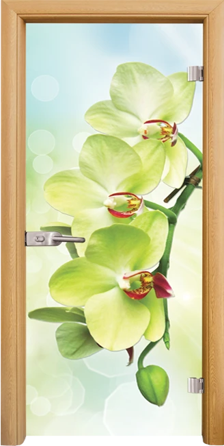 Стълена врата Print G 13-3 Green, Светъл дъб